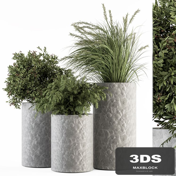 Outdoor Plant Set 292 - Plant Set in Concrete Pot