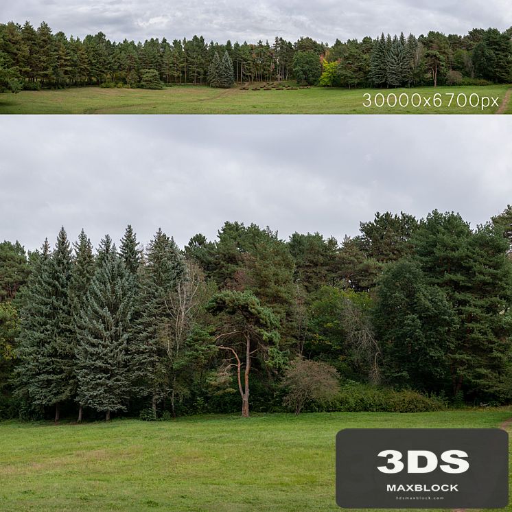 Autumn panorama with trees. 30k