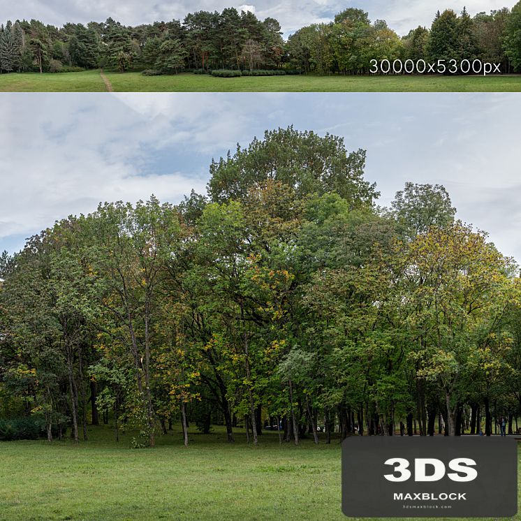 Autumn panorama with trees v2. 30k