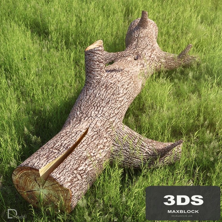 Dmodel_trunk