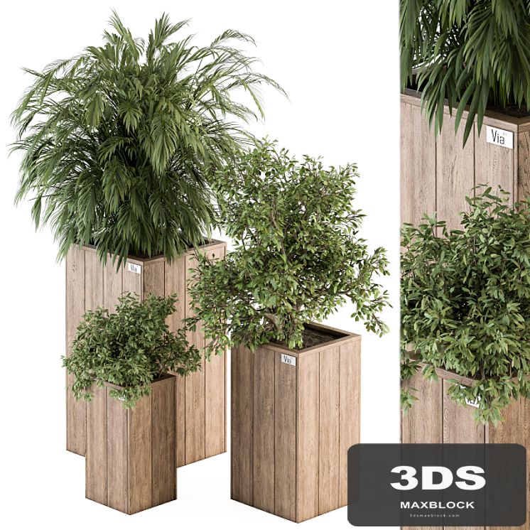 Outdoor Plant Set 297 - Wooden Plant Box