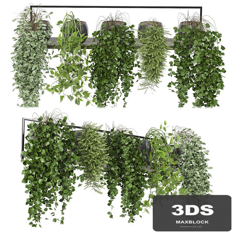 indoor plants in rusty concrete pot on metal shelf - Set 0088
