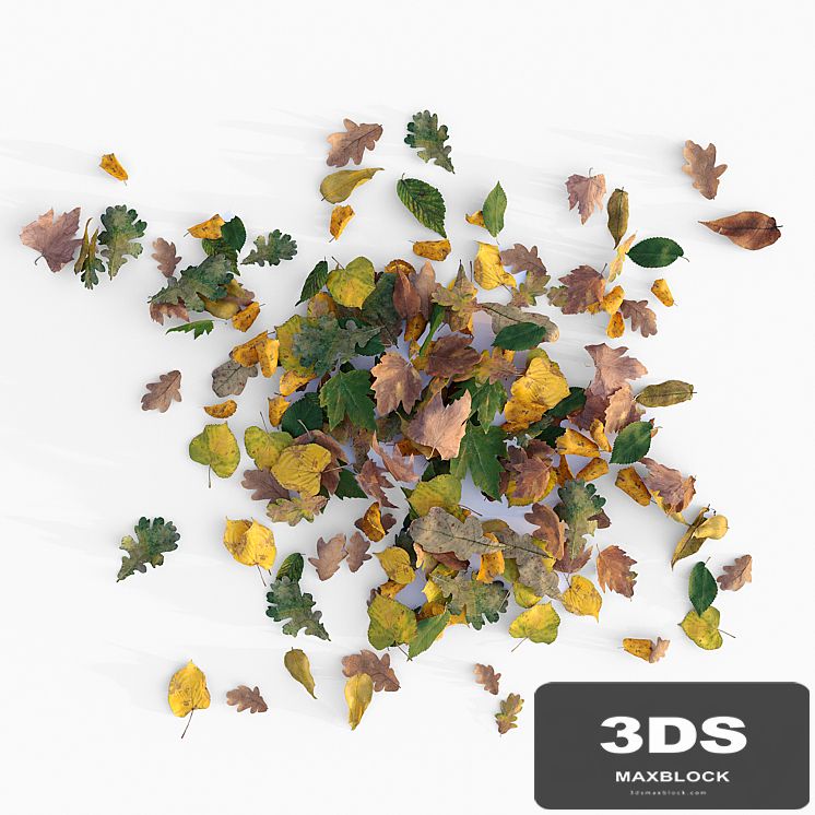 Autumn leaves