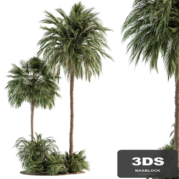Garden set Tropical Plants - Garden Set 28