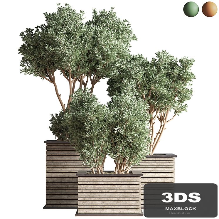 Outdoor_Plants_tree_22