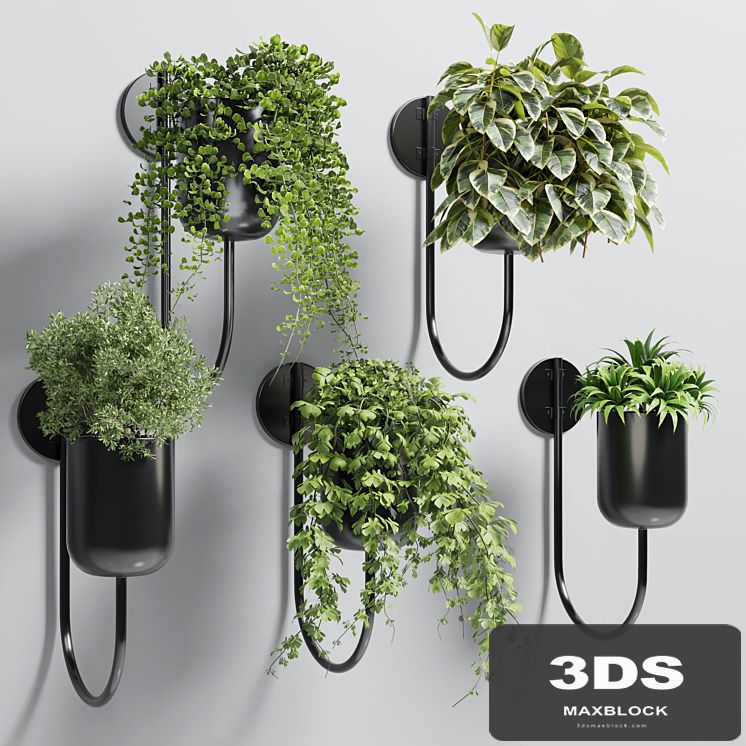collection Indoor plant 135 vase metal stand wall plant
