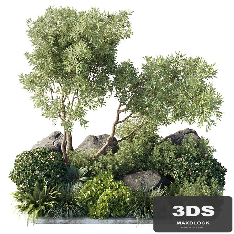Collection outdoor indoor 62 pot plant & tree & bush & fern the garden pot
