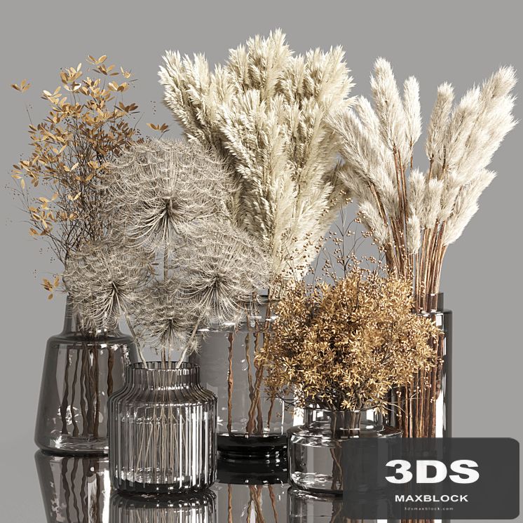 Collection Dry Plants Bouquet Indoor 02