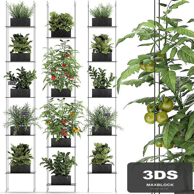 Vertical gardening kitchen garden garden with vegetables, tomatoes, peppers, herbs, lettuce, rosemary. Set 69.