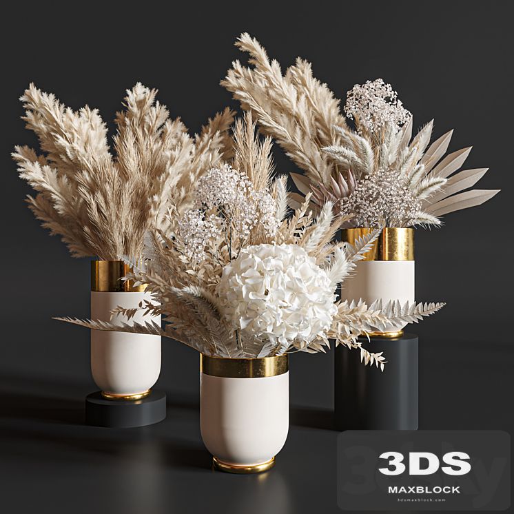 Flower Set 010 Pampas.