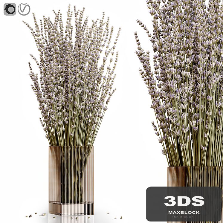 Dry flowers 5 lavender