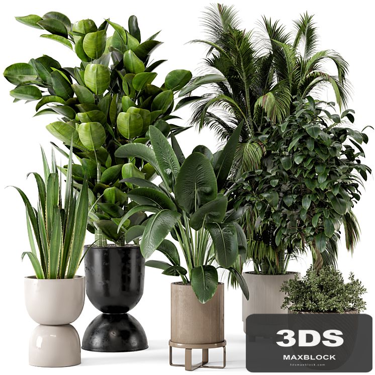 Indoor Plants in Ferm Living Bau Pot Large - Set 290