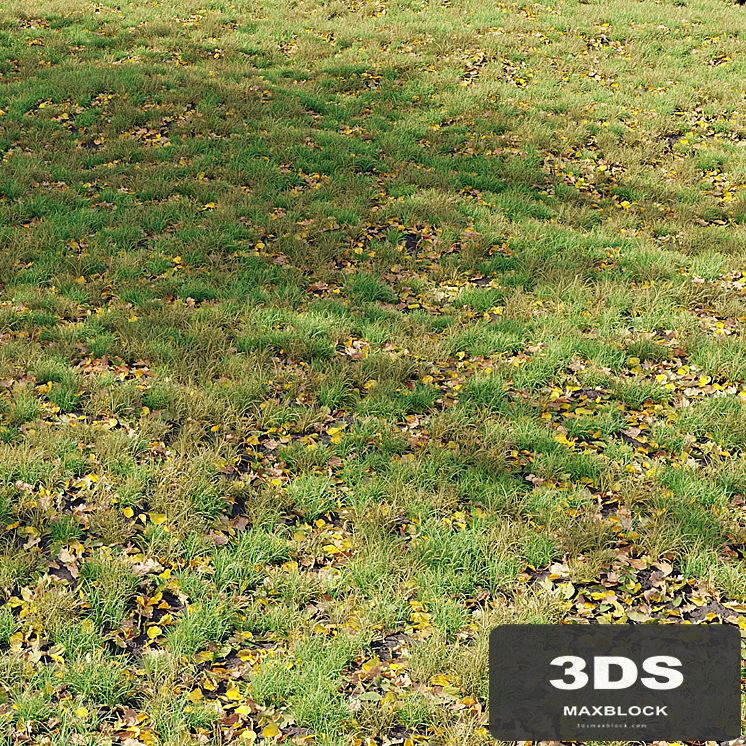 Autumn Grass 01
