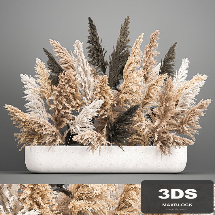 A large lush bouquet of dried flowers in a vase with pampas branches, Cortaderia. 186.