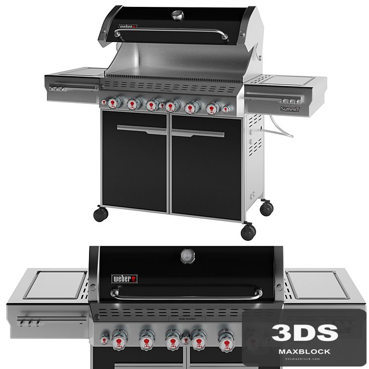 Outdoor Gas Grill