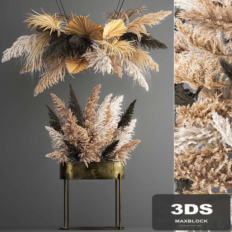 Hanging bouquet composition of dried flowers from pampas, suspension, dry palm leaf. 188.