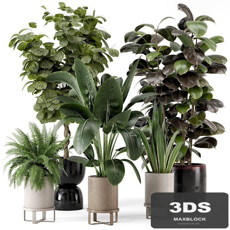 Indoor Plants in Ferm Living Bau Pot Large - Set 299