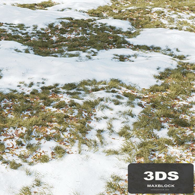 Winter Grass 01
