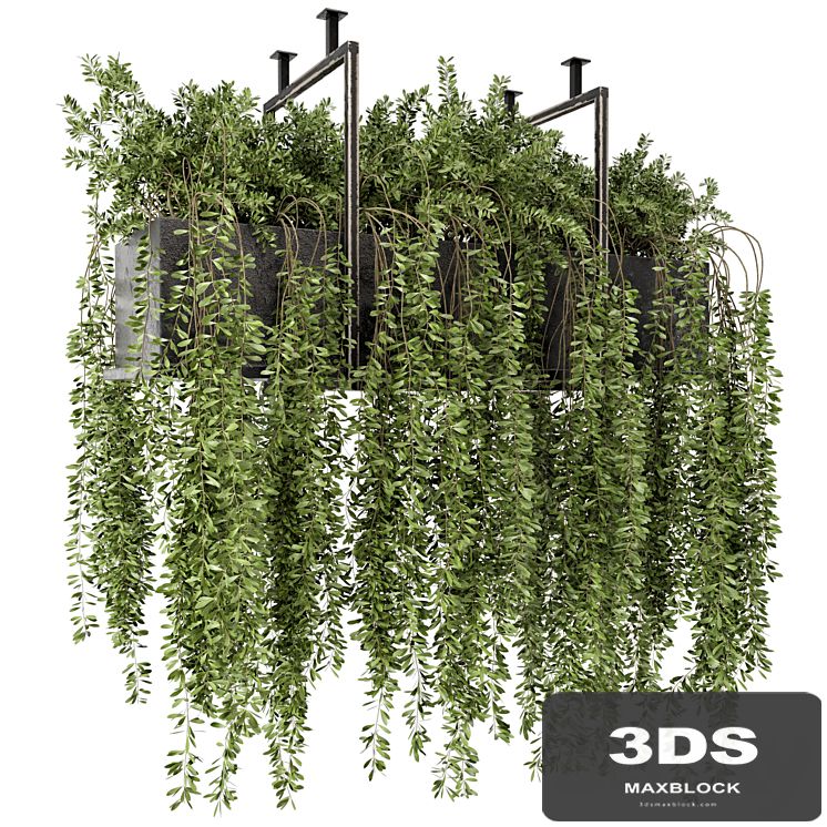 Indoor Hanging Plants in Metal Box - Set 303
