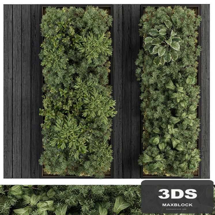 Vertical Garden Black Frame - Wall Decor 38