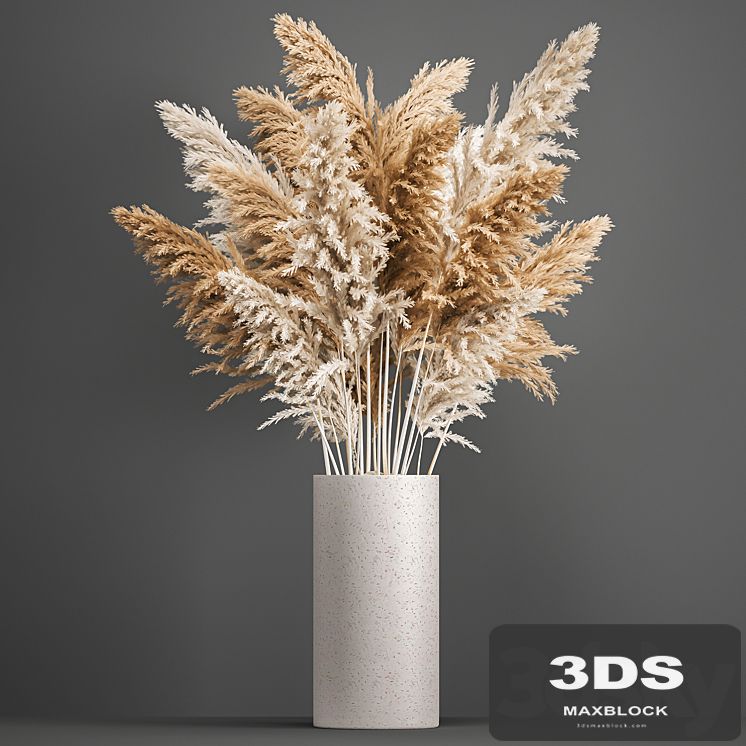 Bouquet of dried flowers in a white vase with pampas, Pampas grass, Cortaderia, branch. 192.