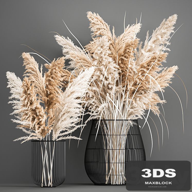 A lush bouquet of dried flowers in a basket with pampas, Pampas grass, Cortaderia, a branch. 192.