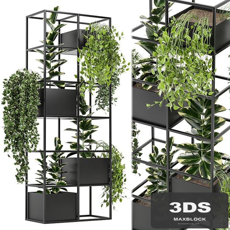 indoor plants in rusty concrete pot on metal shelf - Set 110
