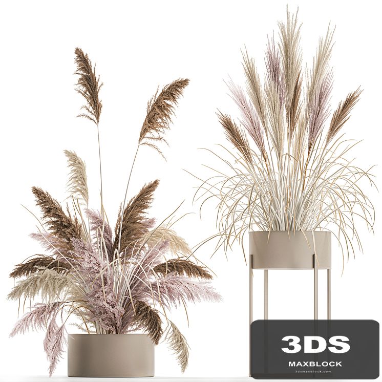 Wedding bouquet composition of pink dried flowers in a vase with Pampas grass, Cortaderia, veynik. 192.