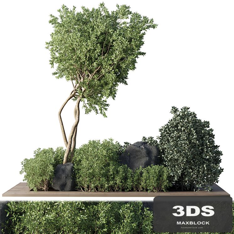 Collection Outdoor Indoor plant 67_green garden plant-tree-bush corona