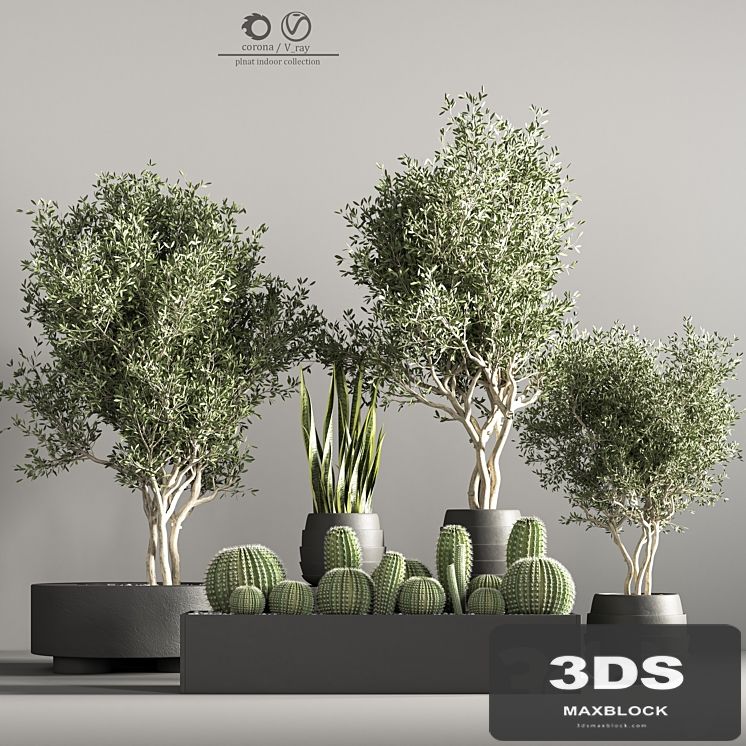 indoor plant stand 36