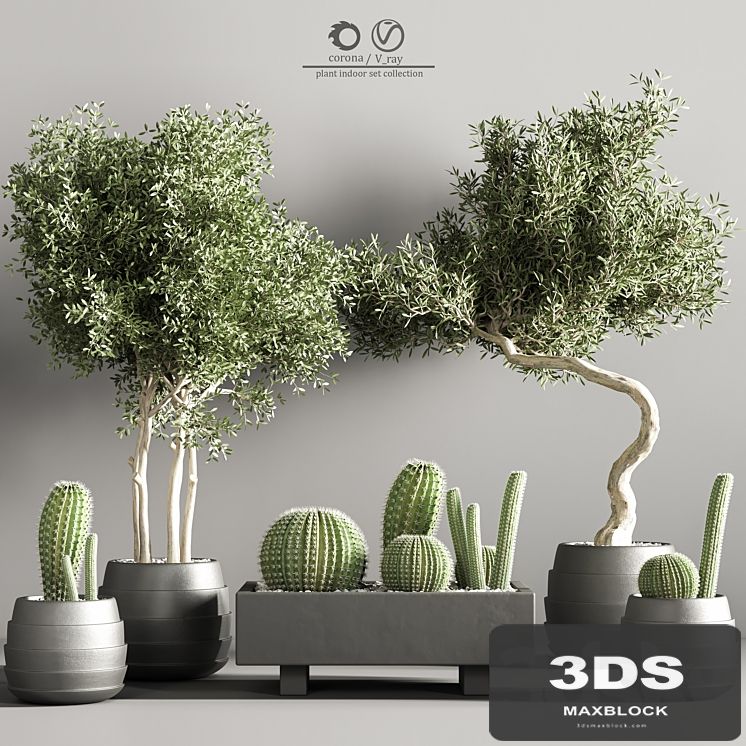 indoor plant stand 37