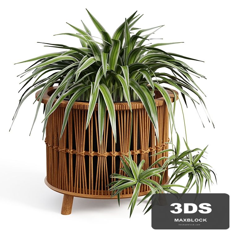 Maiki Woven Planters