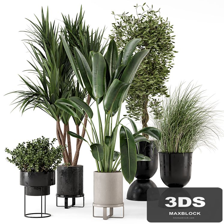 Indoor Plants in Ferm Living Bau Pot Large - Set 312