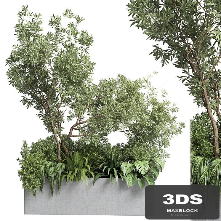 Collection outdoor plant 68 pot plant bush grass and tree and palm concrete vase bax
