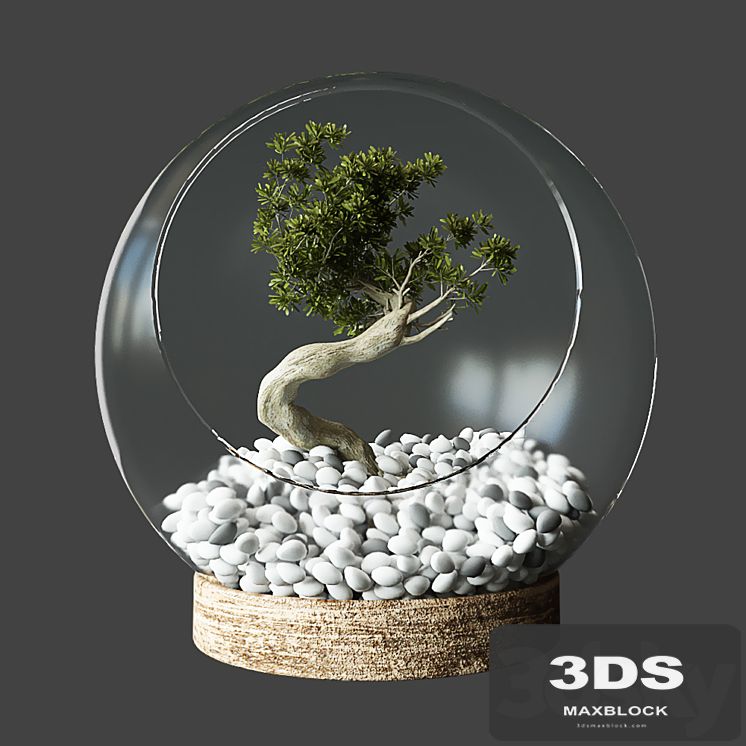 Little Tree In Glass Globe