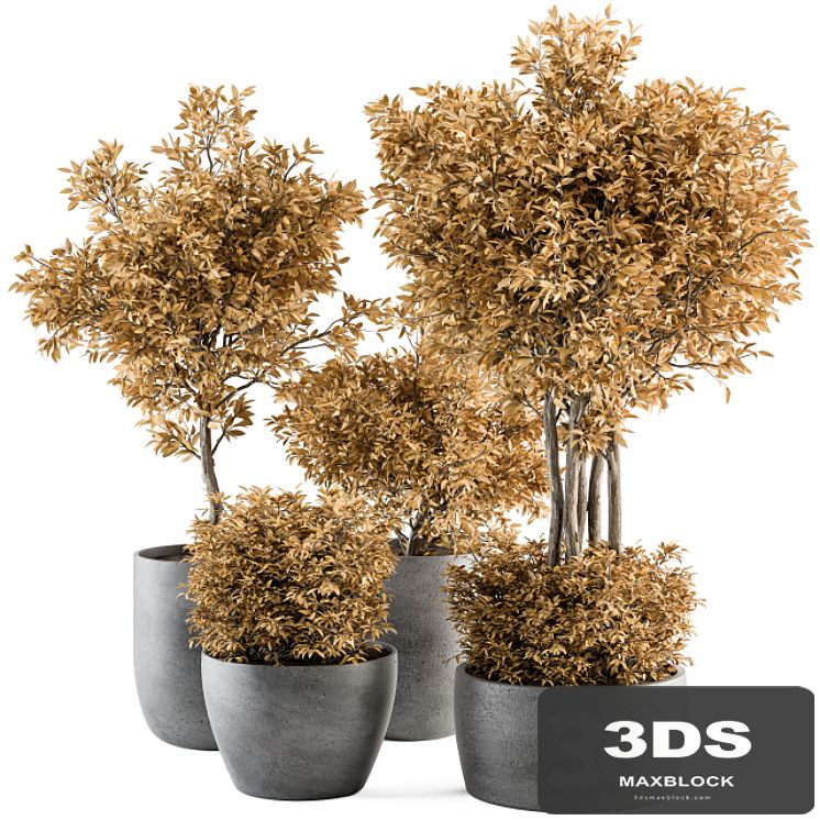 Outdoor Plant Set 322- Autumn Plant and Tree Set