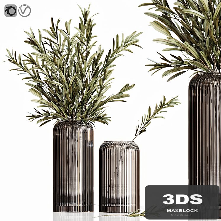 Olives in vases 3
