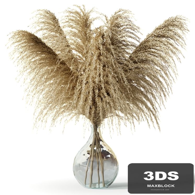 Pampas grass in a glass vase - Sofia Bouquet