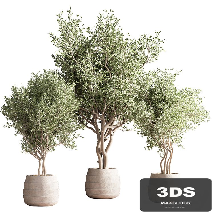 indoor plant stand 39