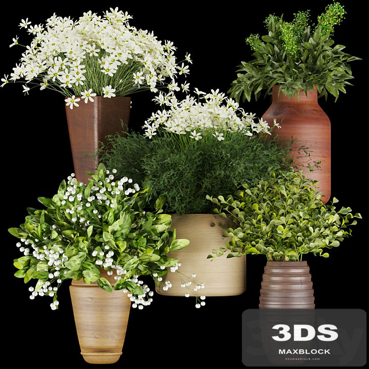 Collection plant vol 262 - Bouquet - flower