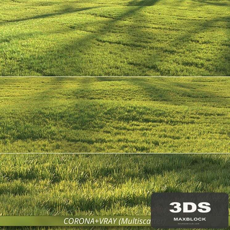 Sunny lawn