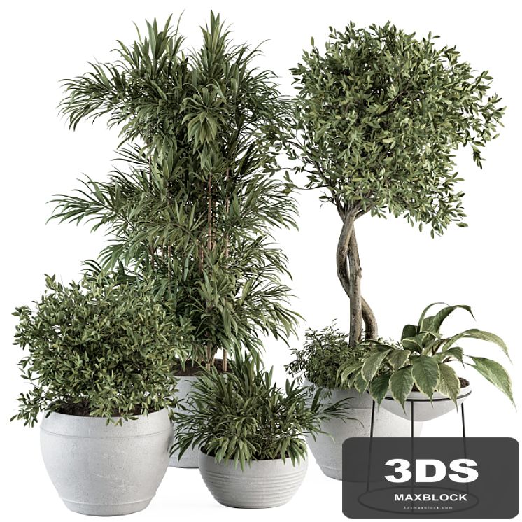 Outdoor Plant Set 323- Plant and Tree Set