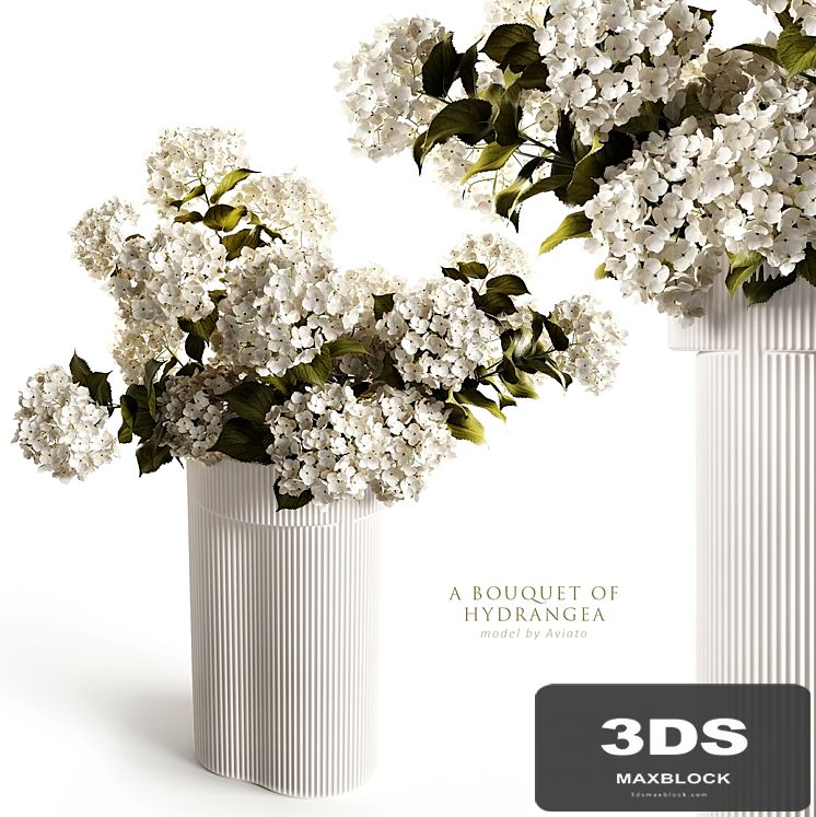 A bouquet of hydrangea 2