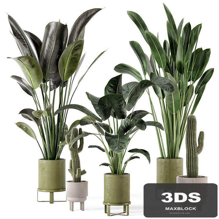 Indoor Plants in Standing Legs Small Bowl Concrete Pot - Set 325
