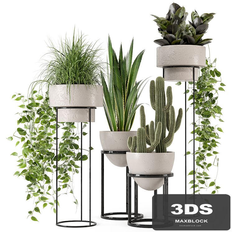Indoor Plants in rusty Concrete Pot on Metal Shelf - Set 327