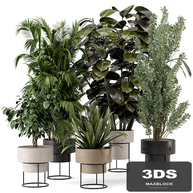 Indoor Plants in rusty Concrete Pot on Metal Shelf - Set 328
