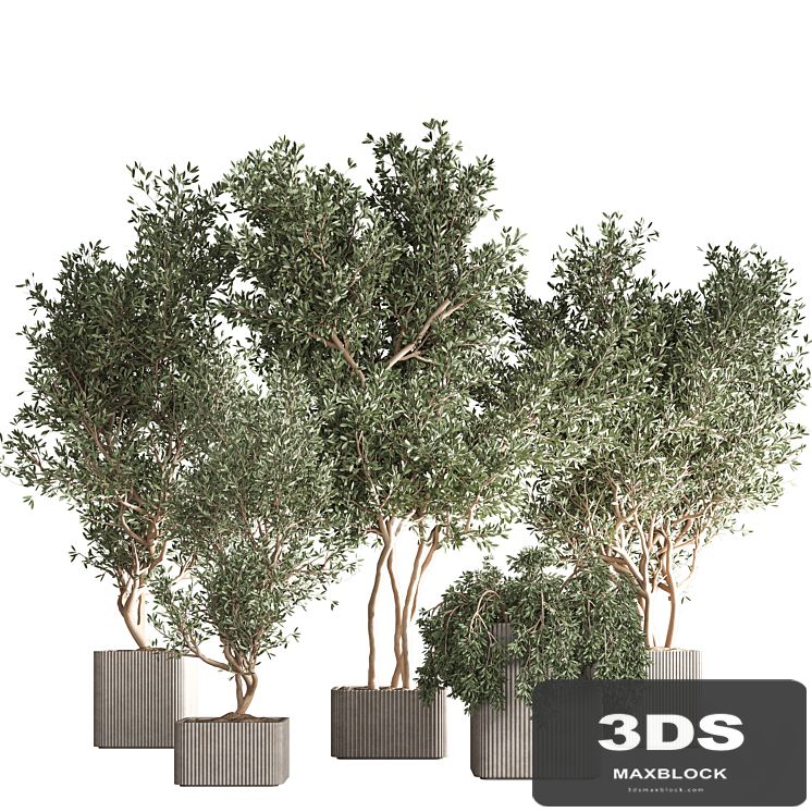 indoor plant set 30