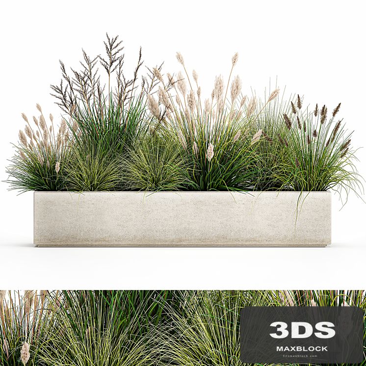 Collection of plants in a pot with pampas grass, reeds, flowerbed, bushes, landscaping. Set 1076.