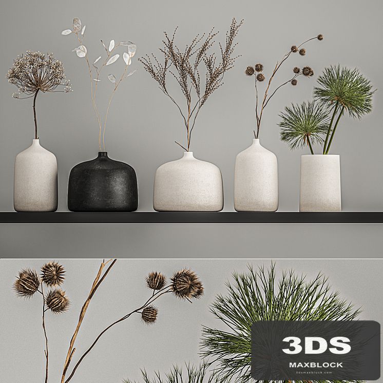 A set of bouquets of dried flowers in vases on the shelf with branches, thorns, lunnik, hogweed. 210