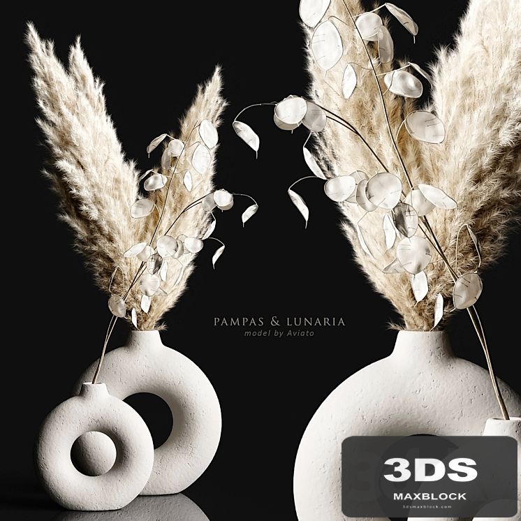 Pampas & lunaria